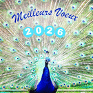 Oiseaux &eacute;clatants pour des voeux 2026 en couleur